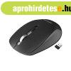 Astrum MW230 2.4GHz vezet�k n�lk�li 1600DPI optikai eg�r fek