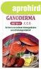 Instant Shiitake s Ganoderma tea, 20 db tasak - Dr. Chen