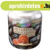 Ganoderma Black Coffee Star, Instant Arabica K�v� gy�gygomb�