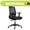 ANTARES DELFO ergonomikus irodai sz�k