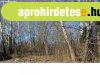 Budapest XVII. ker�let�ben be�p�thet� nagy erd� elad�