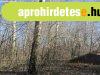 Budapest XVII. ker�let�ben be�p�thet� nagy erd� elad�