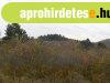 Cserszegtomajon mad�rcsicserg�s helyen telek elad�