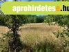 Si�fok T�rekiben mez�gazdas�gi telek elad�