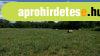 BALATONEDERICS k�lter�let, mez�gazdas�gi telek, sz�nt� ELAD�
