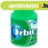 Orbit Bottle 64G Spearmint (46 Szemes) Doboz