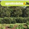 Antracitszrke drthls kerts cvekekkel 2,2x25 m