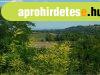 Panor�m�s telek Balatonendr�den!