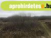 Kis-Balaton mellett 9,7 hekt�ros ter�let elad�