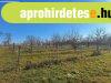 Elad� belter�leti telek, gy�m�lcsf�kkal! - Szakcs