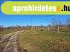 Elad� belter�leti telek csendes utc�ban Szakcson!
