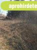Elad� �p�t�si telek Gyugyon.