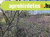Befektet�snek ide�lis telek Balatonsz�rsz�n!