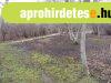 Kert�szked�sre f�ldter�let, elad� Szandasz�l�s�n! - Szolnok