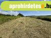 Elad� 0.00 nm-es K�lter�leti telek M�r