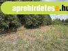 Elad� Balatonederics belter�let�n egy �p�t�si telek