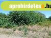 Elad� Cegl�di 2983 m2 �p�t�si telek.